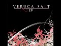 Veruca Salt - Perfect Love (Music Video)