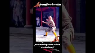 Download lagu shaolin jurus terbang,skill meringankan tubuh bisa melayang #shorts #kungfu mp3 Download lagu shaolin jurus terbang,skill meringankan tubuh bisa melayang #shorts #kungfu mp3