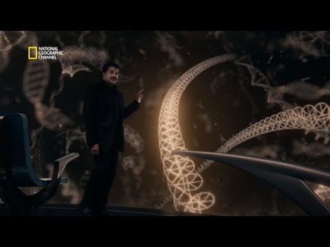 Cosmos | Voyage au cœur de l'ADN