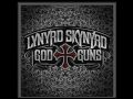 Lynyrd Skynyrd - Raining in my Heartland 