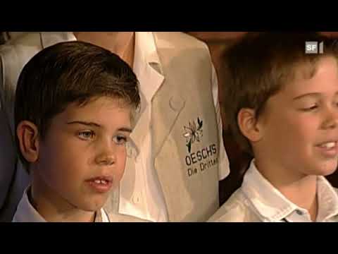 Oesch's Die Dritten - All's was bruchsch - LIVE - Hopp de Base 2000