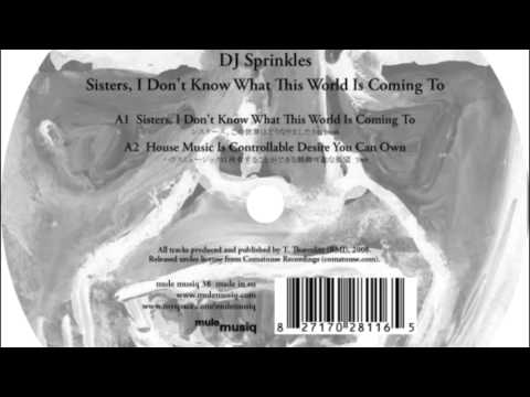 DJ Sprinkles -  Grand Central, Pt. I (Deep Into The Bowel Of House) (MCDE Raw Mix)