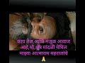 आत्माराम गिरी बाबा श्रीक्षेत्र मांदळ