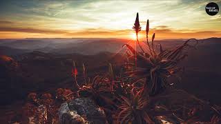 Mr Raoul K &amp; Rancido ft. Sona Diabate - Tamale (Solomun Edit)