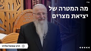 מה המטרה של יציאת מצרים | הרב שמואל אליהו | הלכה יומית | כ״ו שבט תשפ״ה (הרב שמואל אליהו) - התמונה מוצגת ישירות מתוך אתר האינטרנט יוטיוב. זכויות היוצרים בתמונה שייכות ליוצרה. קישור קרדיט למקור התוכן נמצא בתוך דף הסרטון