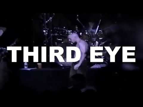 Compilation of the guy that wouldn't stop screaming "THIRD EYE" at the Glass House Tool concert