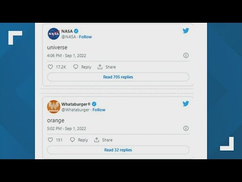 New one-word trend taking over Twitter