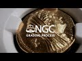 The NGC Grading Process