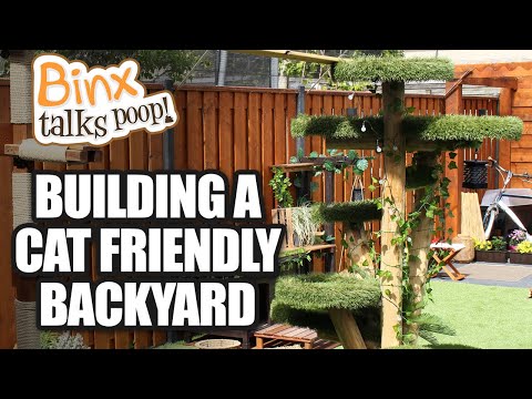 Renovating my backyard and making it cat proof and cat friendly!