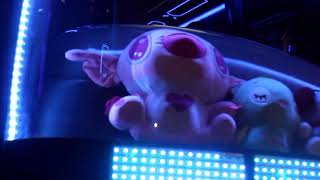 Download lagu Cinematic Bus Full Strobo || By syamamiel_ mp3 Download lagu Cinematic Bus Full Strobo || By syamamiel_ mp3