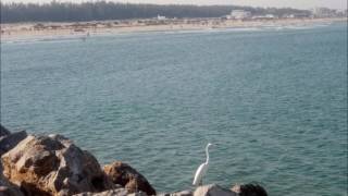 Gene Dunlap -There Will Never Be Another (Like You) [HQ]