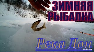 Зимняя рыбалка на доне