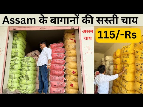 असम के बागानों की सस्ती चाय उपलब्ध है होलसेल में Jaipur Tea Company Chai ka business #teafactory