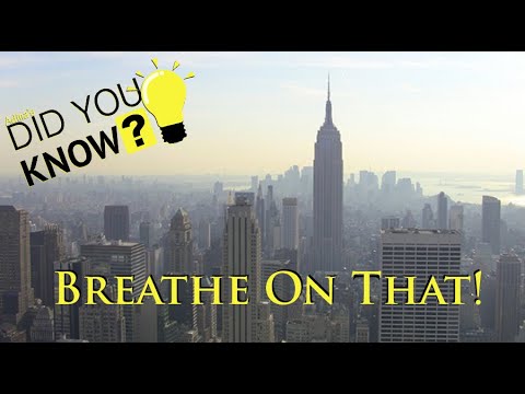 Adina's EN - Did You Know? - S01:E06 - Breathe On that