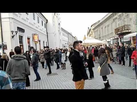 Flashmob 1 decembrie 2012 Oradea (1)