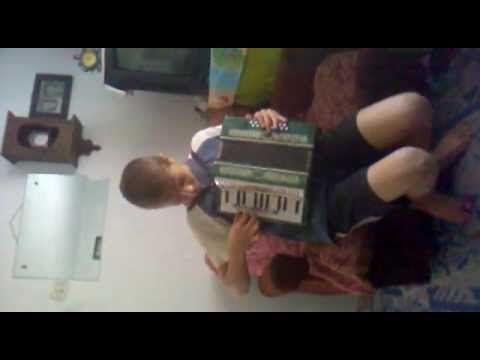 Trandafir de la Moldova-Acordeon (incepator)