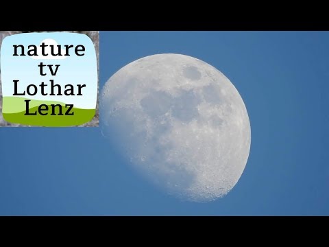 Zoom sur la Lune avec un Nikon Coolpix P900