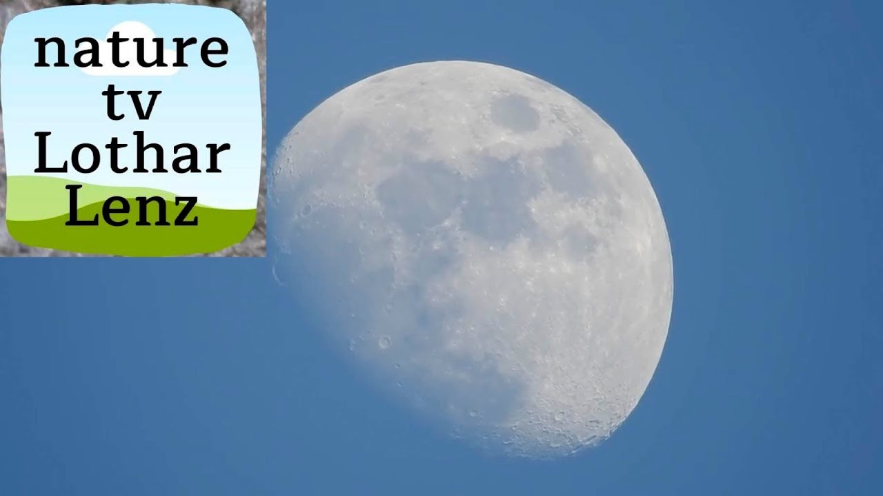 Цифровой фотоаппарат Nikon Coolpix P900