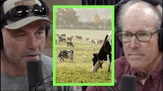 Can You Feed the Masses Without Factory Farming? w/Joel Salatin | Joe Rogan video