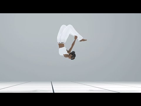 Capoeira Animation【Blender】