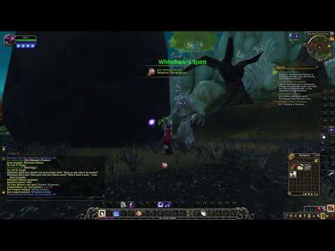 How to do Whitebark's Memory quest - World of Warcraft