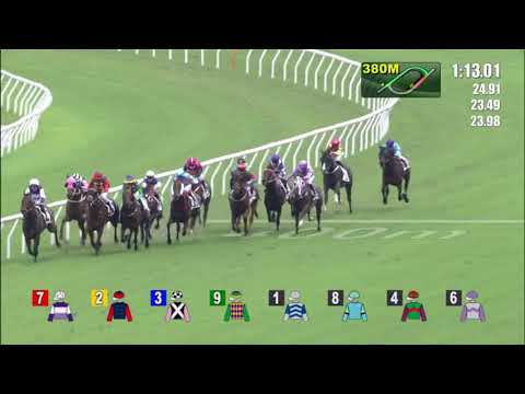 5/6/2022 (726) Turquoise Alpha - V Borges