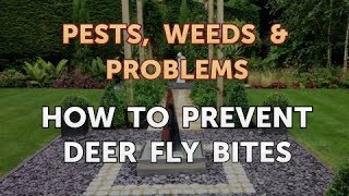 How to Prevent Deer Fly Bites