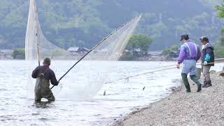 【びわ湖の漁業】伝統漁法編２　おいさで漁