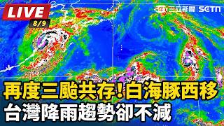 再度三颱共存！白海豚西移台灣降雨趨勢不減