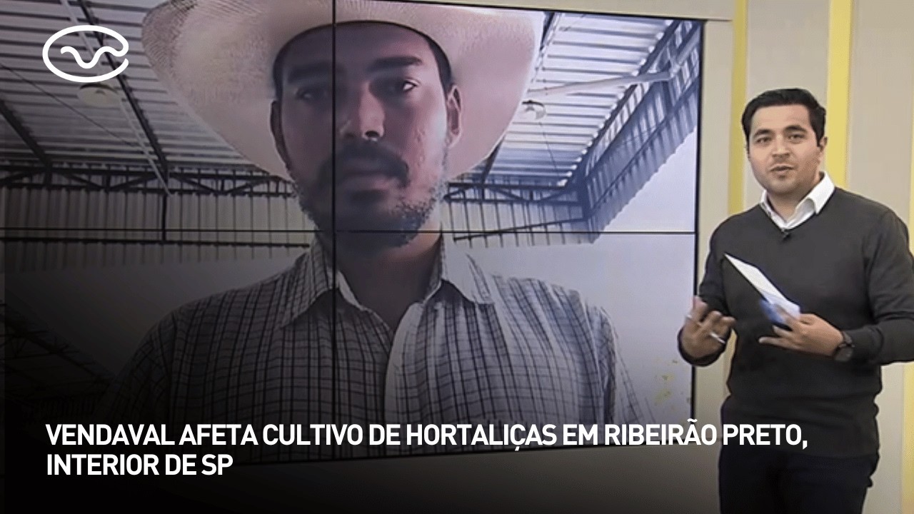 Vendaval afeta cultivo de hortaliças em Ribeirão Preto, interior de SP