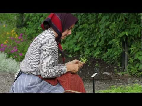 Skansen - Örtagården - 2011