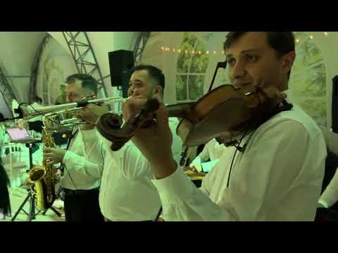 Formatia Moldova Live Nunta 
