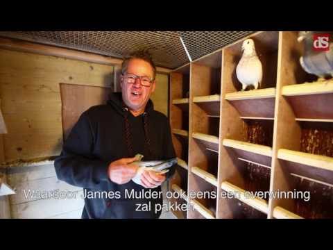 Jannes Mulder vernoemt duif naar Elma de Vries