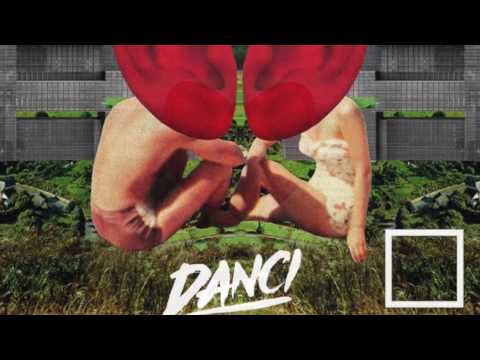 Clean Bandit - Symphony ft. Zara Larsson (Danci Remix)