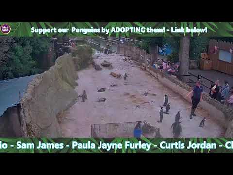 Penguin Pool UK