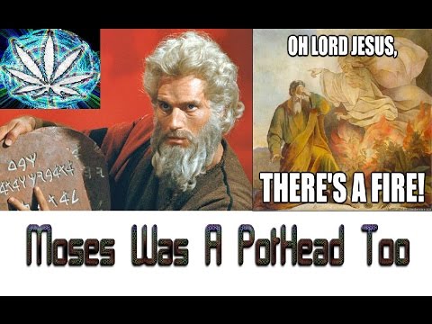 Did You Know Moses Was A Stoner? : The Story Of Kaneh Bosm - FRAGRANT CANE - [Keneh Bosem in Hebrew]