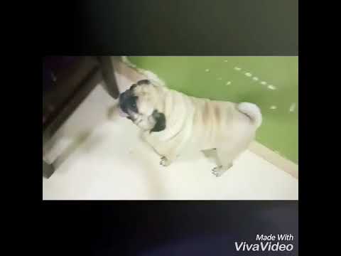 Sweeeeeetiiiiiiiiii😊😊