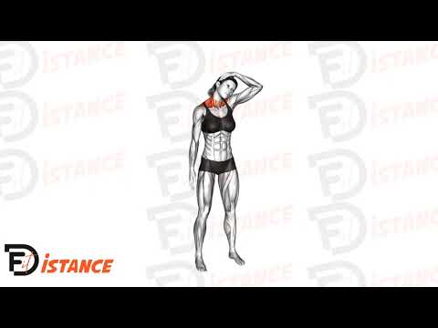 Étirement latéral du cou debout (femme) - Exercice Étirement latéral du cou debout (femme) en vidéo Étirement latéral du cou debout (femme) - Exercice Étirement latéral du cou debout (femme) en vidéo