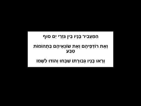 המעביר בניו בין גזרי ים סוף - מודז'יץ - הרה''ח ר' בן ציון שנקר זצ''ל.