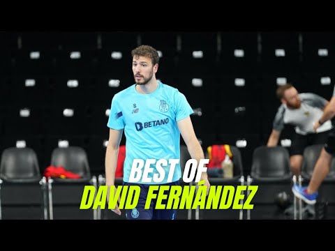 Best of David Fernández | Fc Porto | 2023/2024