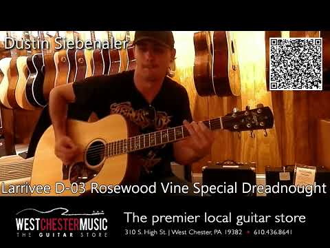 Larrivee D-03 Rosewood Vine Special Dreadnought Acoustic Guitar Rosewood Back & Sides Satin Natural image 21