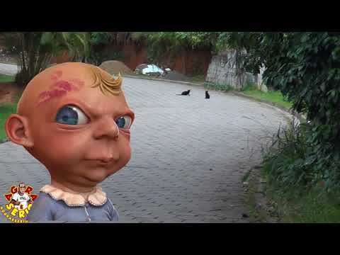 Repórter do Mato caga um kilo com medo dos Gatos Preto da Palmeirinha