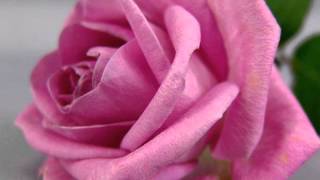 Nana Mouskouri - Mama Leone - Un trandafir