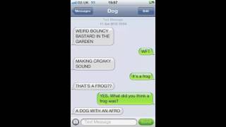 41 Hilarious Texts Dog vs His Owner Would Look Like lol