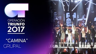 CAMINA - Grupal | OT 2017 | OT Fiesta