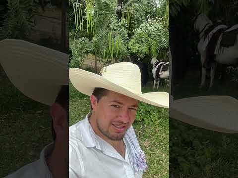 Cabalgata Pandi Cundinamarca