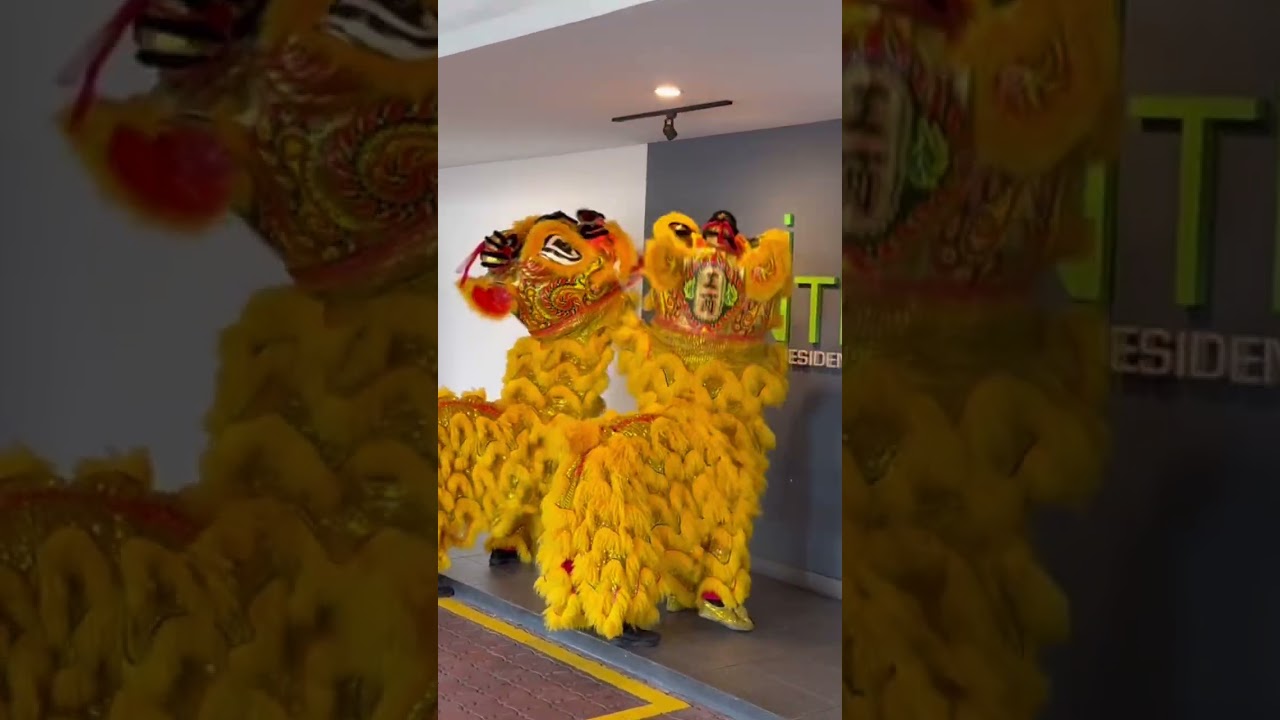 Lions doing their “blessing” at my condo main sign and guard post