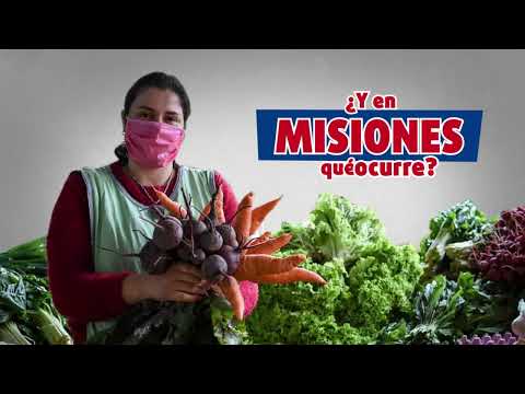 Día mundial de la alimentación