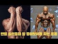 [추천운동] 반팔 입었을때 팔을 최대한 부각시키는 운동