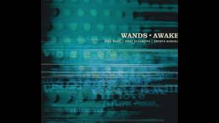 Download lagu WANDS AWAKE mp3